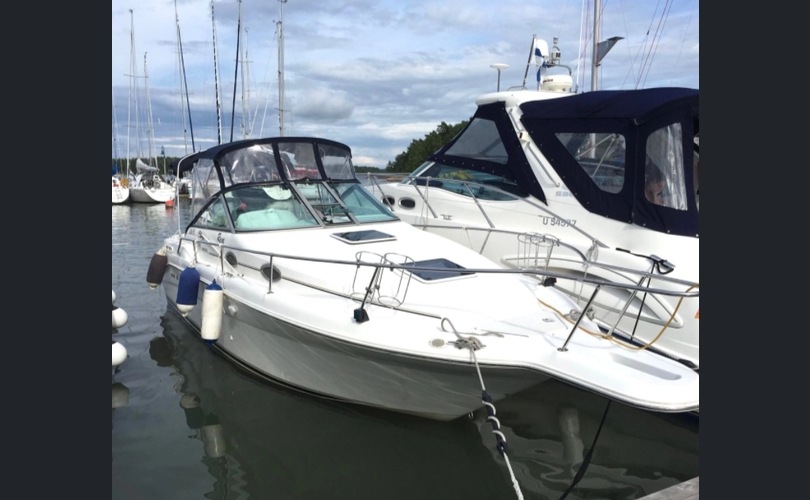 Sea Ray 270 Sundancer-kuva-7